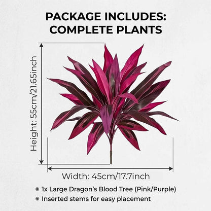 🔥Last Day 50% OFF🔥2Pcs Artificial Boston Fern & Dragon's Blood Tree Plants -$AC