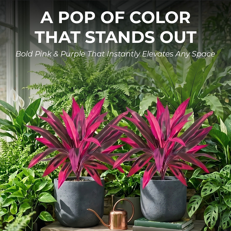 🔥Last Day 50% OFF🔥2Pcs Artificial Boston Fern & Dragon's Blood Tree Plants -$AC