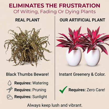 🔥Last Day 50% OFF🔥2Pcs Artificial Boston Fern & Dragon's Blood Tree Plants -$AC
