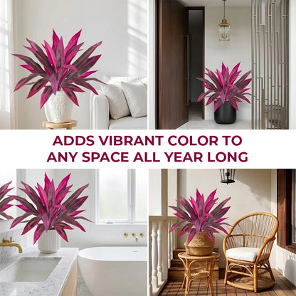 🔥Last Day 50% OFF🔥2Pcs Artificial Boston Fern & Dragon's Blood Tree Plants -$AC
