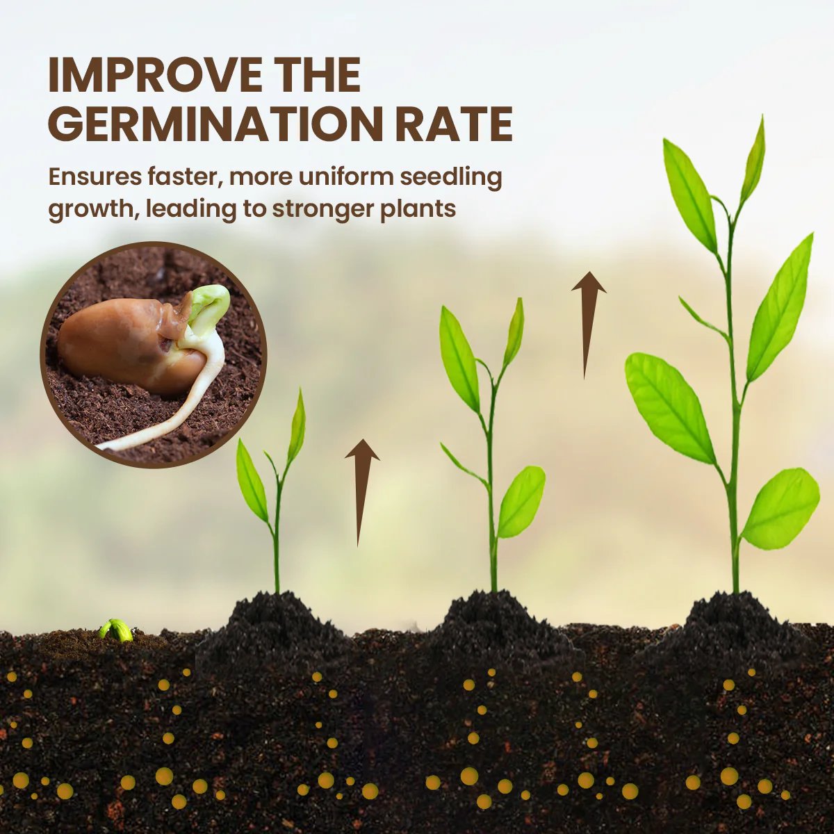 🌱 Soil Pro Activator – Restore & Strengthen Your Plants Naturally -$AC