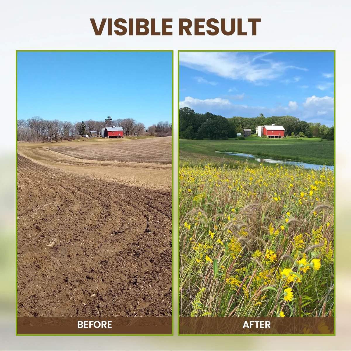🌱 Soil Pro Activator – Restore & Strengthen Your Plants Naturally -$AC