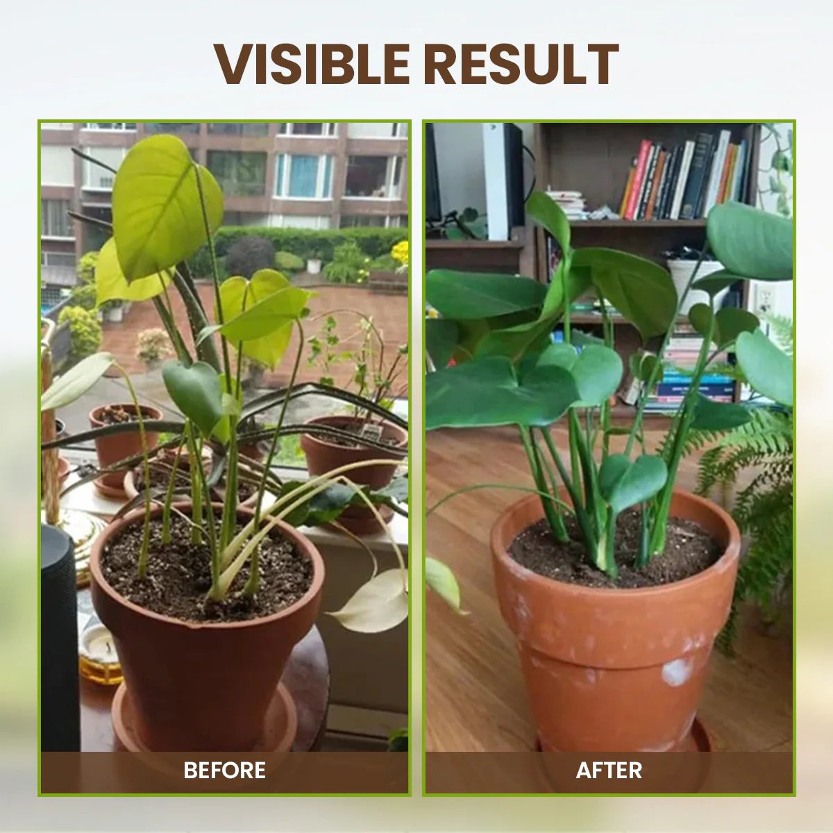 🌱 Soil Pro Activator – Restore & Strengthen Your Plants Naturally -$AC