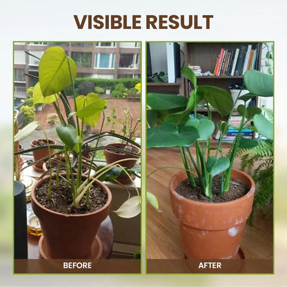 🌱 Soil Pro Activator – Restore & Strengthen Your Plants Naturally -$AC