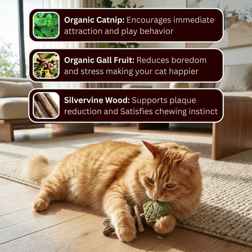 🐱 CatFish Blend – Natural Silvervine Dental Chew 🐟-$LX