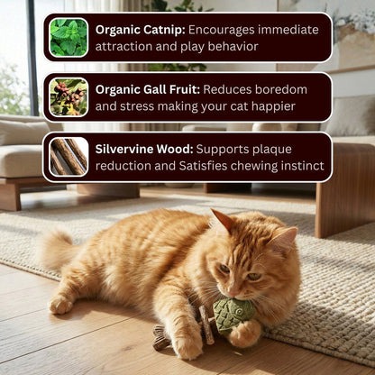 🐱 CatFish Blend – Natural Silvervine Dental Chew 🐟-$LX