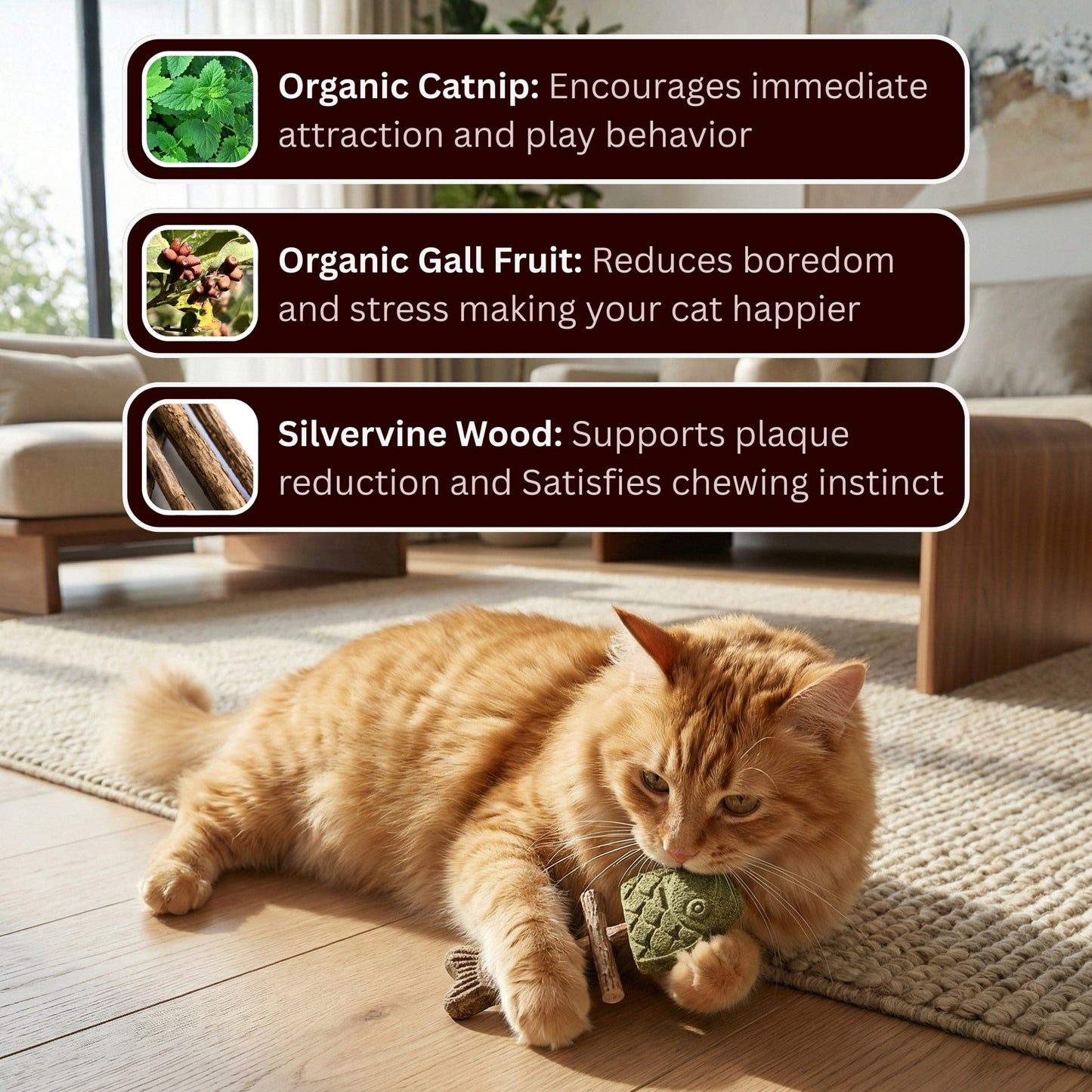 Catnip & Silvervine Chew -$AC
