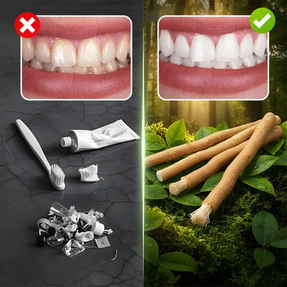 Natural Miswak ToothbrushSticks-$LA