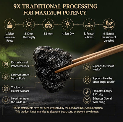 9X Prepared Rehmannia Root | Natural Blood Sugar & Metabolic Support Tonic-CJ