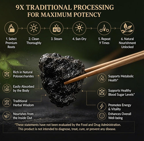 9X Prepared Rehmannia Root | Natural Blood Sugar & Metabolic Support Tonic-CJ