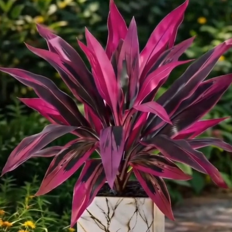 Finally Found Artificial Plants That Don't Look Fake