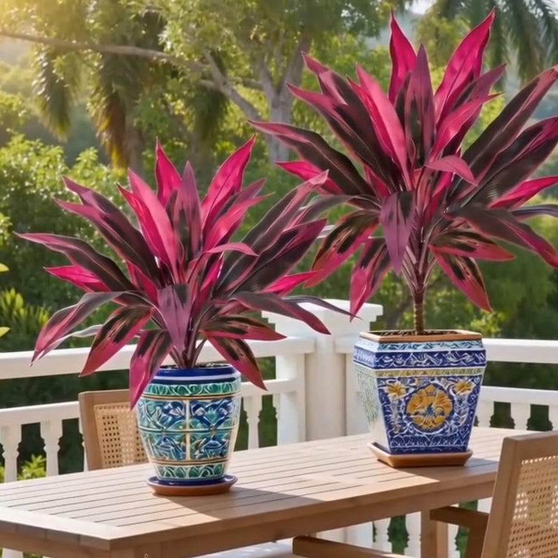 The Perfect Balcony Upgrade