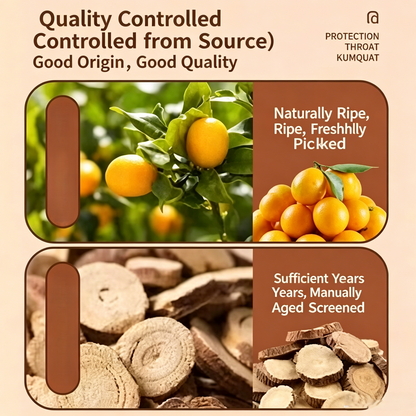 😋Licorice Kumquat- 🍃Natural Healthy Green Snack.-$AC