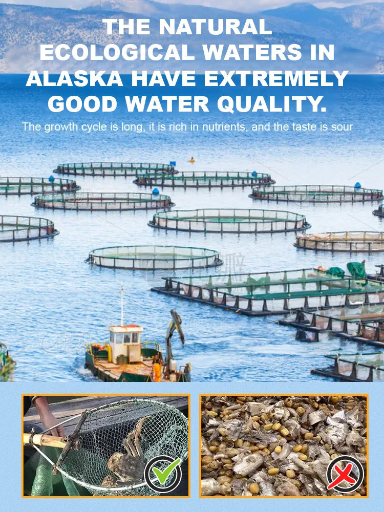 Alaskan Snow Crab Crisps – Ready-to-Eat High-Protein Seafood Snack-$LX