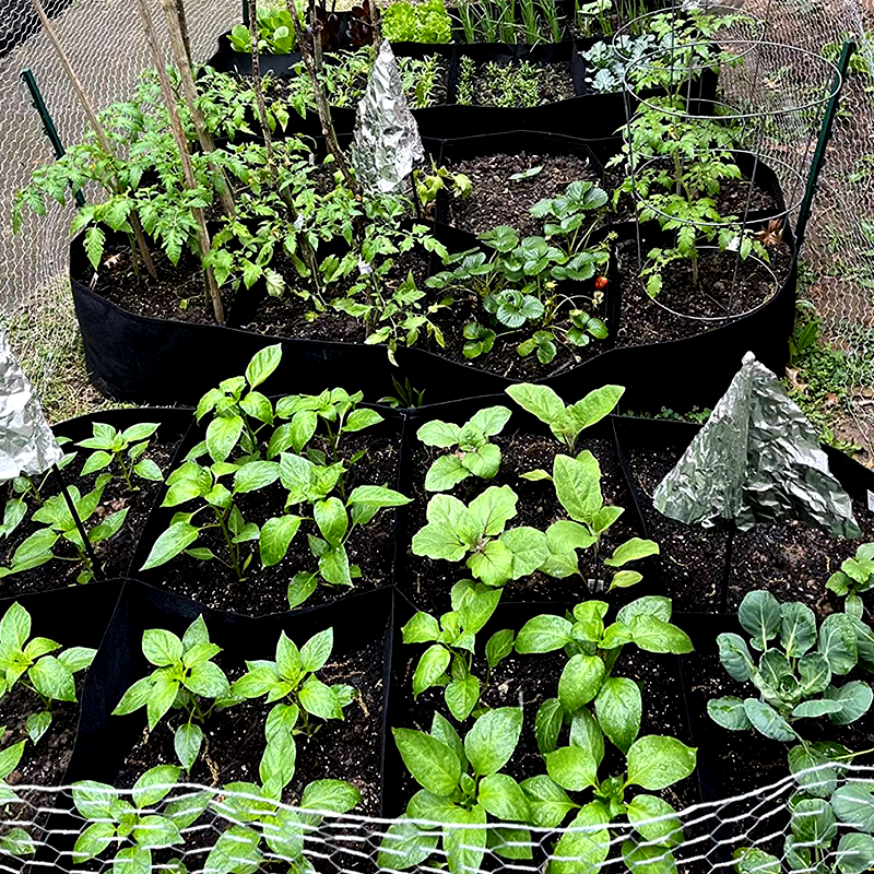 Divided Fabric Grow Bags for Plants-CJ