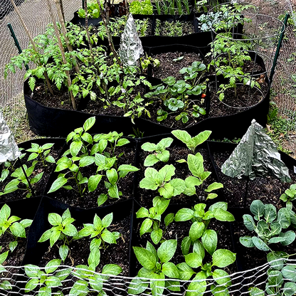 Divided Fabric Grow Bags for Plants -$AC