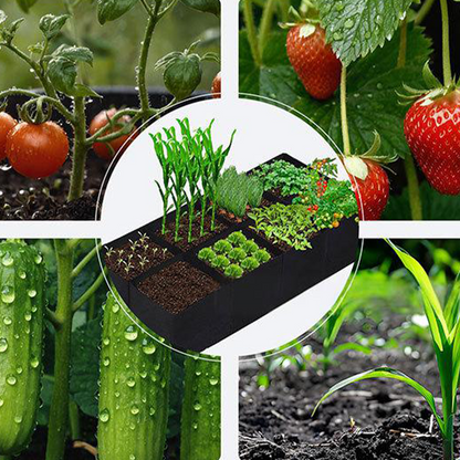 Divided Fabric Grow Bags for Plants -$AC