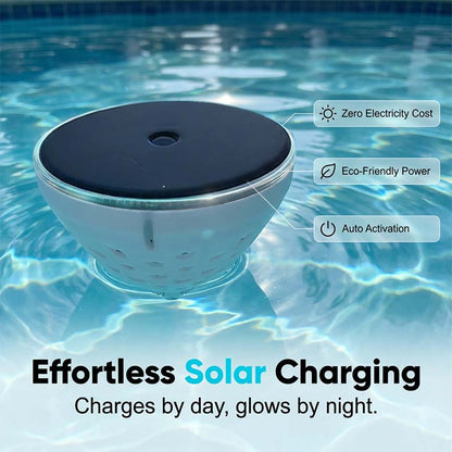 🎁2026 Hot Sale 50% OFF💕Solar Floating Pool Light with Fish Projection-WH